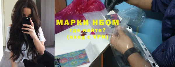стафф Арсеньев