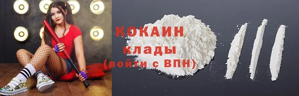 стафф Арсеньев