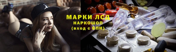 стафф Арсеньев