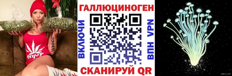 купить наркоту  кракен   Галлюциногенные грибы MAGIC MUSHROOMS  Ишим 